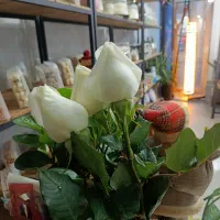 با هر خرید یک گل رز