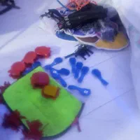 جل اسب|اسب و تجهیزات اسب‌سواری|تهران, دریاچه شهدای خلیج فارس|دیوار