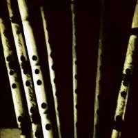 نی کلهر|سازهای بادی|قم, چهل اختران|دیوار