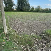 زمین فروش فوری ، آماده سرمایه گذاری