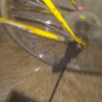 دوچرخه|دوچرخه، اسکیت، اسکوتر|کرج, حسین‌آباد|دیوار