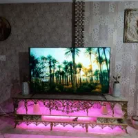 تلویزیون ۶۵ اینچ دوو هوشمند|تلویزیون و پروژکتور|یاسوج, |دیوار