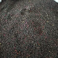 روغن کانولا کلزا خالص ارگانیک|خوردنی و آشامیدنی|شوشتر, |دیوار