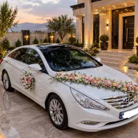 اجاره ماشین عروس با گل ارایی ۱۰ میلیون