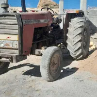 اسب زین شده