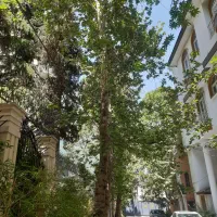 دولت ۳ واحد ۴۲ متر مستغلات دربستی ۴۰میلیارد