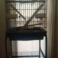 قفس عروس هلندی