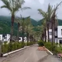 زمین داخل شهرک برند و زیبا قیمت کاسبی|فروش زمین و ملک کلنگی|تهران, نبی اکرم(ص)|دیوار