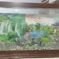 آکواریوم بزرگ