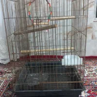 کاسکو قفس بزرگ