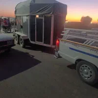 اسبکش دو اسب آماده به کار|اسب و تجهیزات اسبسواری|برخوار, |دیوار