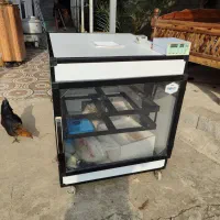 دستگاه جوجه کشی ۵۰۴ تایی اسکندری