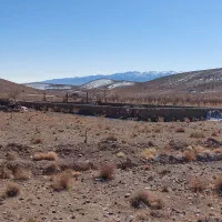 زمین آینده دار زعفرون زار دُرُخش|فروش زمین و ملک کلنگی|قهستان, |دیوار