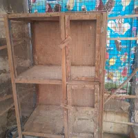 گنجه کفتر..مرغ|لوازم جانبی حیوانات|بهارستان, |دیوار