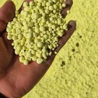 کود مخصوص زعفران، یارامیلا،کودچالکود، گوگرد،بذر|خدمات باغبانی و درختکاری|مشهد, تبادکان|دیوار