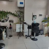 پیرایش جزیره واگذار میگردد|آرایشگاه و سالن‌های زیبایی|کیش, |دیوار