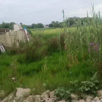 فروش زمین ۷۲ متری در ولکس|فروش زمین و ملک کلنگی|رشت, ولکس|دیوار