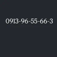 0913-96-55-66-3