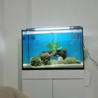 آکواریوم بک سامپ