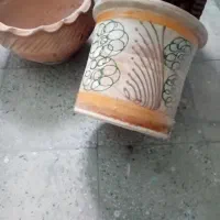 2تا گلدون سفالی با درختچه