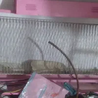 مگس کش برقی|سایر لوازم برقی|سبزوار, پاسداران|دیوار