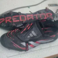 استوک پردیتور