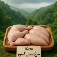 مرغ قطعه بندی شده صنعتی|عمدهفروشی|تهران, کوهسار|دیوار