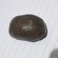 سنگ مهردار.عکس زن شیر چهارپای وخطهای یهودی|مجسمه، تندیس، ماکت|اصفهان, آفاران|دیوار