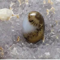 نگین عقیق شجر خاص نایاب زمینه شیشه ای بته درشت