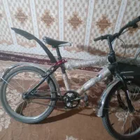 معامله با گوسفند