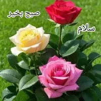 خدمات فضای سبزوباغبانی