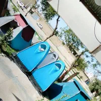 حمام صحرایی