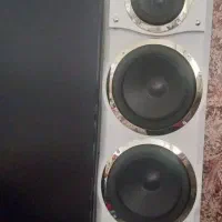 دوعدد باند سفید میکرولب