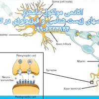 آموزش زیست شناسی