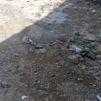 فروش زمین باغی حدودی ۵۰۰ متری گز