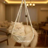 جای خواب و لمکده گربه