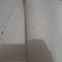 موکت پالاز|موکت|آبادان, |دیوار
