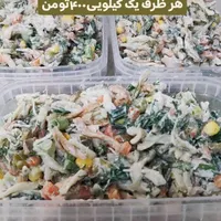 دلمه برگ مو .سالاد ماکارونی|خوردنی و آشامیدنی|تهران, دانشگاه علم و صنعت|دیوار