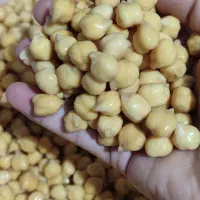 آش شیرازی|خوردنی و آشامیدنی|قم, پردیسان|دیوار