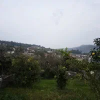 فروش زمینی داخل بافت مسکونی در سوادکوه شیرگاه