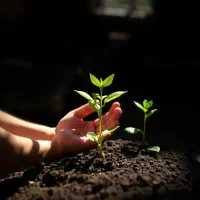 رایگان راهنمایی میکنم افزایش کاهش سایز