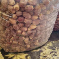 خرما زاهدی