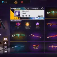 اکانت فیری فایر گاد|کنسول، بازی ویدئویی و آنلاین|میمند, |دیوار