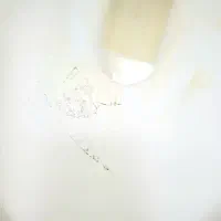 توالت فرنگی رایگان