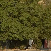 راهنمایی