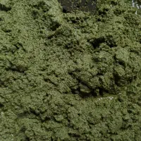 ترش واش باغ چای وسبزی خورد شده|حراج|لنگرود, |دیوار