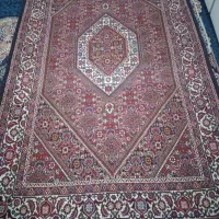 فرش زرع نیم|فرش|زنجان, |دیوار