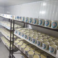 پخش لبنیات سنتی