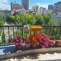 شیراز-جنوبی-170-متر-3خواب-تک-واحدی-ویو-ابدی