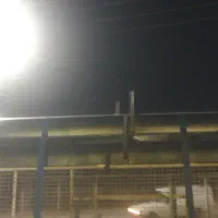 آخور گوسفندی|عمده‌فروشی|هندیجان, |دیوار